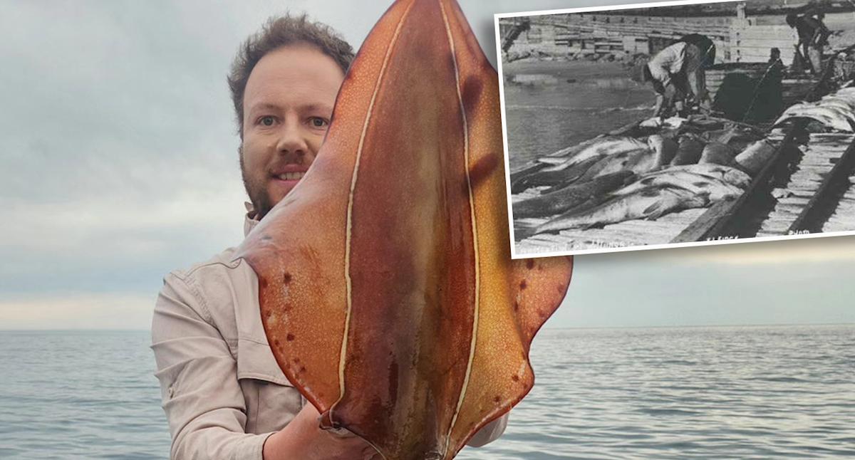 Sixth-generation fisherman's sad admission amid calls to declare national disaster off Aussie coast