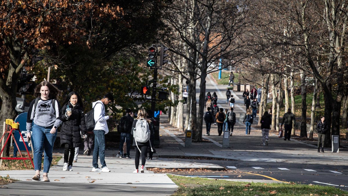See which NY schools made the cut