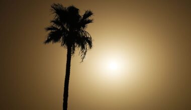 What is the smog in Phoenix today? Why the sky is so hazy