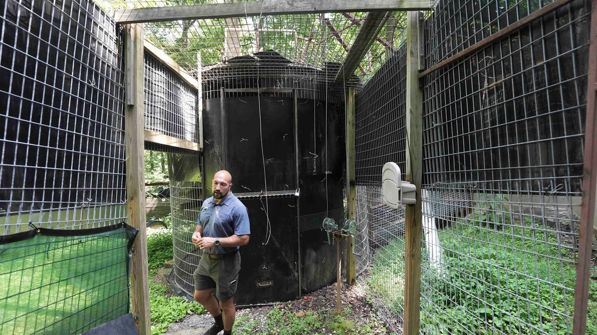 Appalachian Bear Rescue renovates so it can accept cubs again