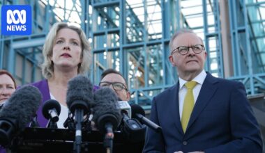 Support payment for renters on Treasury's housing options list