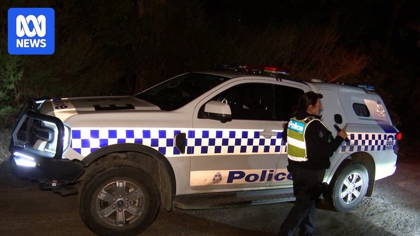 Police shoot dead man assaulting woman