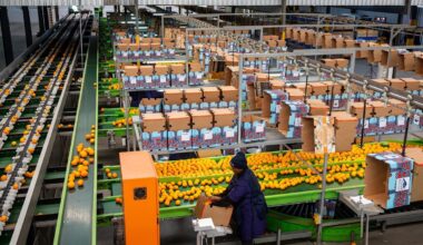 Trump Tariffs Sour the Fortunes of South Africa’s Citrus Farmers