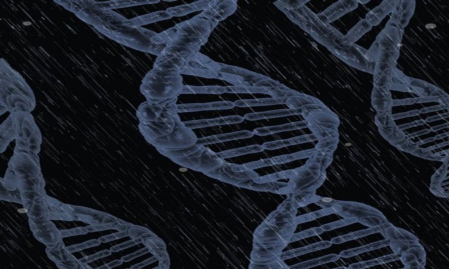 Gene editing could save species on brink of extinction