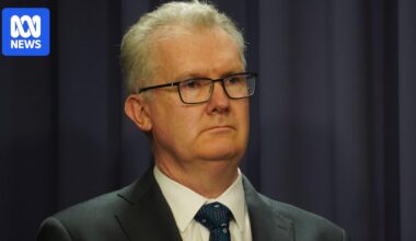 Home Affairs Minister Tony Burke says he believes antisemitism envoy Jillian Segal did not know husband's trust donated to Advance