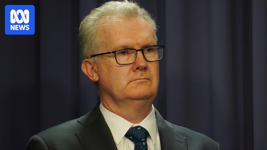 Home Affairs Minister Tony Burke says he believes antisemitism envoy Jillian Segal did not know husband's trust donated to Advance