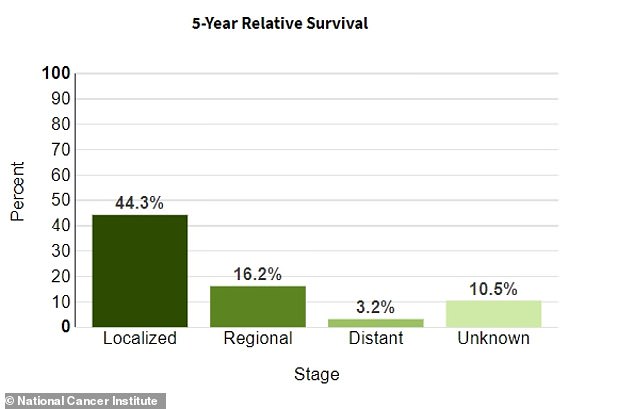 The chart shows survival rates for pancreatic cancer, per the National Cancer Institute