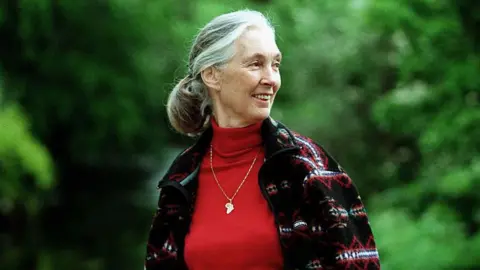 Getty Images Dame Jane Goodall, English UN Messenger of Peace, primatologist, ethnologist and anthropologist pictured before a lecture in Edinburgh. She is wearing a red top with a gold necklace and is looking away from the camera and is smiling. 