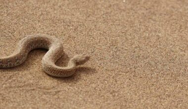 Snake and Spider Venom Produce Hundreds of 'Promising' Potential Antibiotics