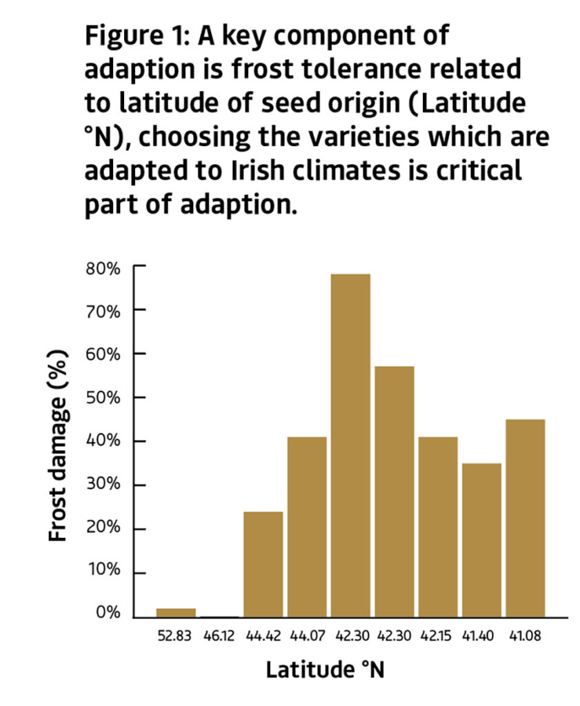 graph shows the relationship between the latitude of seed origin and frost damage percentage.