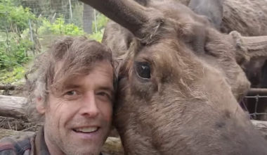 Haines wildlife center owner demands ADFG take action