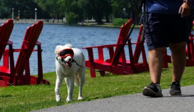 Heat warnings in place for 5 provinces, 1 territory - CTV News