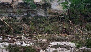 A Texas Department of Public Safety official, bottom left, combs through the banks of the Guadalupe River near Camp Mystic after a flash flood swept through the area Saturday, July 5, 2025, in Hunt, Texas. (AP Photo/Julio Cortez)