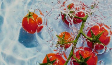 5 Foods That Cause Water Retention
