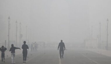 Air Pollution 'Strongly Associated' With DNA Mutations Tied to Lung Cancer : ScienceAlert