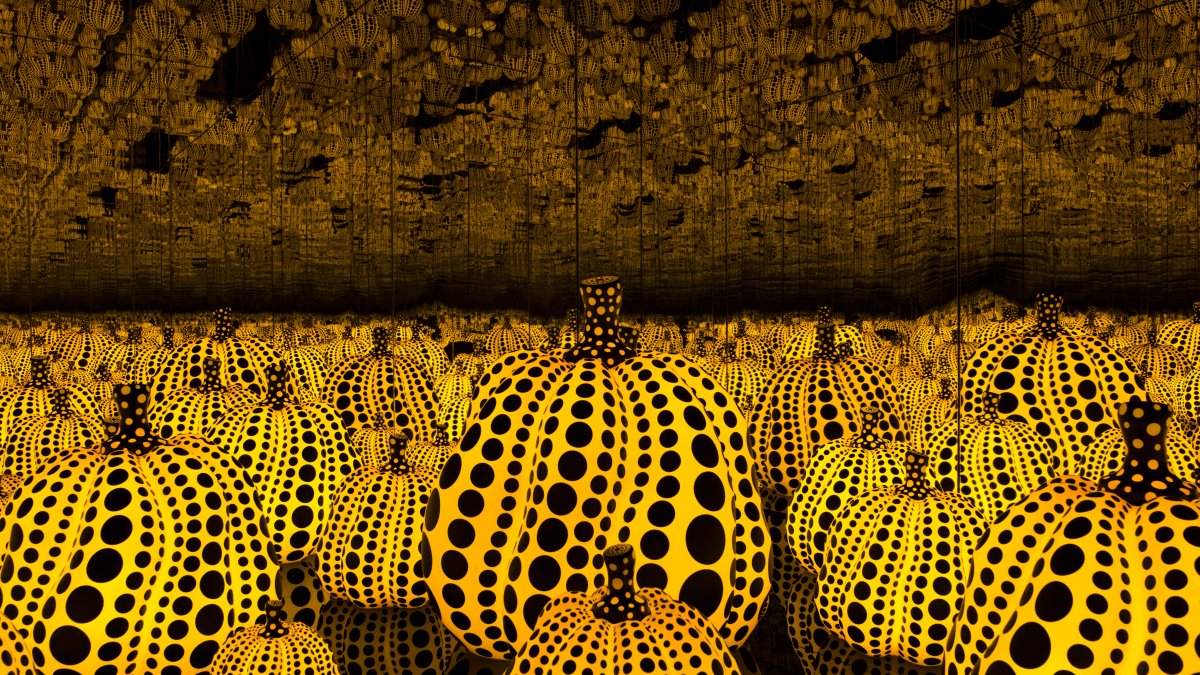 New DMA art installation gives you fall in summertime – NBC 5 Dallas-Fort Worth
