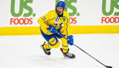 The Blackhawks' Plan For Anton Frondell This Season Was Revealed