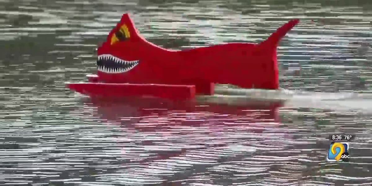 Central Iowa community finds unique way to scare geese from park