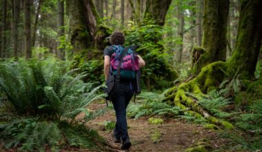 Doctors are prescribing nature – but we don’t know how it works