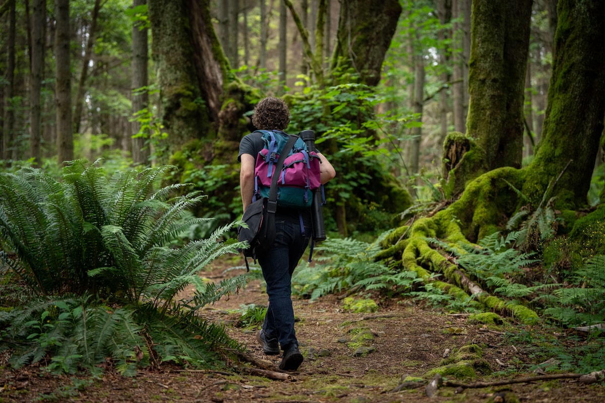 Doctors are prescribing nature – but we don’t know how it works