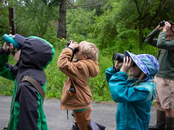 New Upper Valley youth birding group finds joy between rain drops
