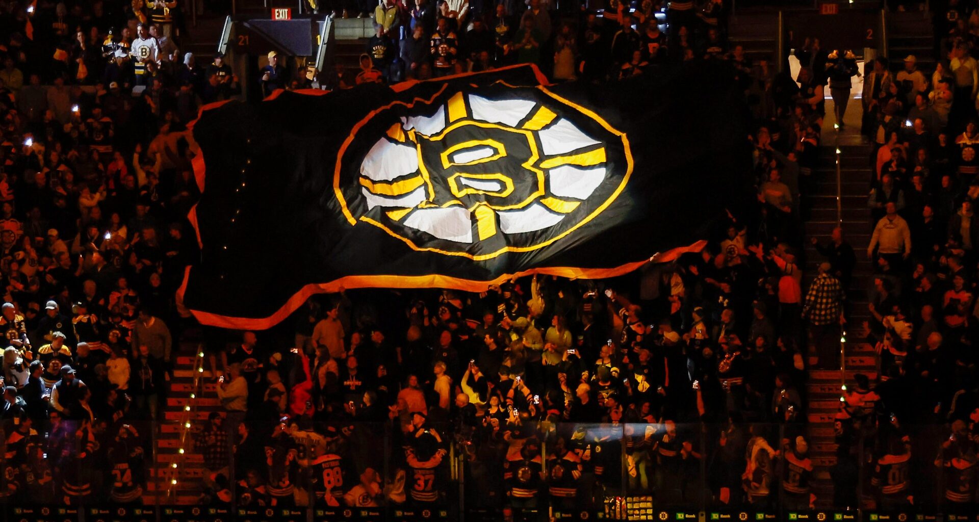 Former Bruins Forward Retired After Long NHL Career