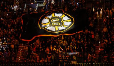 Former Bruins Forward Retired After Long NHL Career