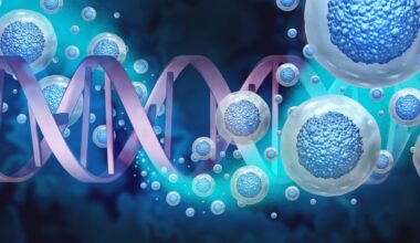 the role of IRT from discovery to clinical development