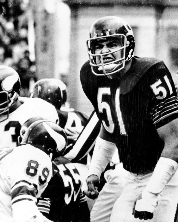 Dick Butkus played for the Bears from 1965-73, making seven Pro Bowl teams. He was elected to the Pro Football Hall of Fame in 1979, his first year of eligibility. Butkus died Thursday at age 80. (Steve Lasker/Chicago Today)