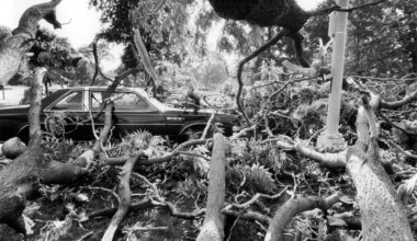 Winds reach 82 mph, leave 100,000 homes without power