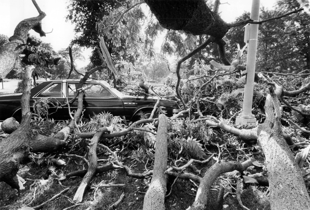 Winds reach 82 mph, leave 100,000 homes without power