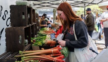 Farmers markets in Chicago for 2025
