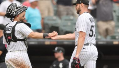 Adrian Houser a bona fide hurler in Chicago White Sox win
