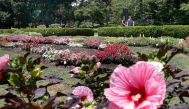 Inside the Dallas Arboretum’s research efforts to find top plant varieties for North Texas