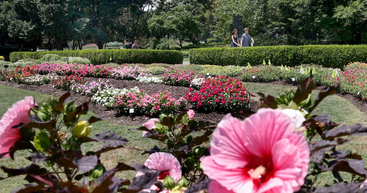 Inside the Dallas Arboretum’s research efforts to find top plant varieties for North Texas