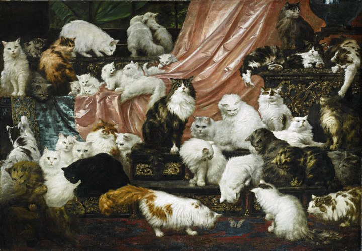 History’s “most fabulous cat painting”; an old to Coal, a Parliament Hill cat; hot cats from the NYRB and 3 lagniappes – Why Evolution Is True