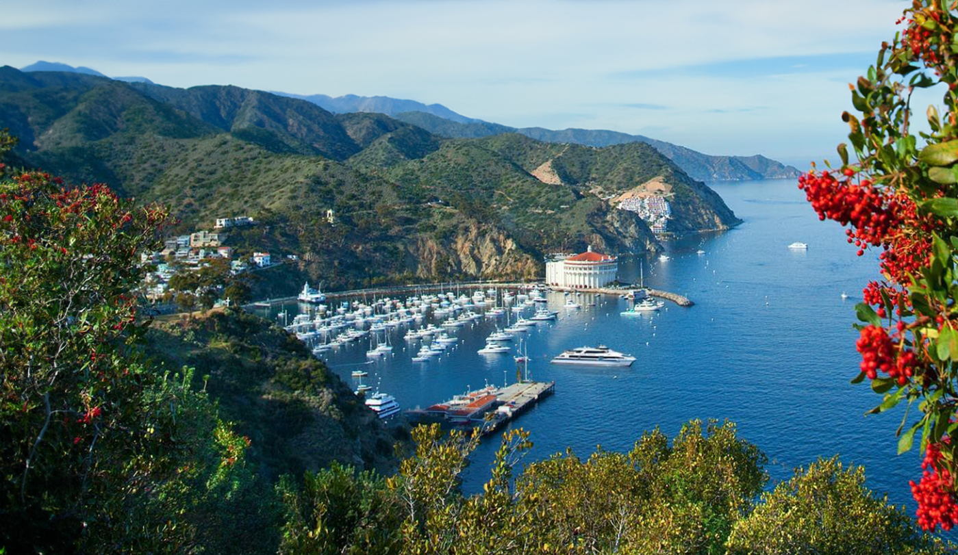 View of downtown Avalon in Catalina Island, an affordable  getaway roadtrip near San Diego, CA