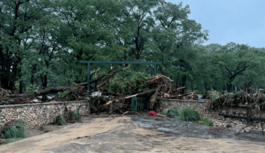 San Diegan boys rescued from Texas floods – NBC 7 San Diego