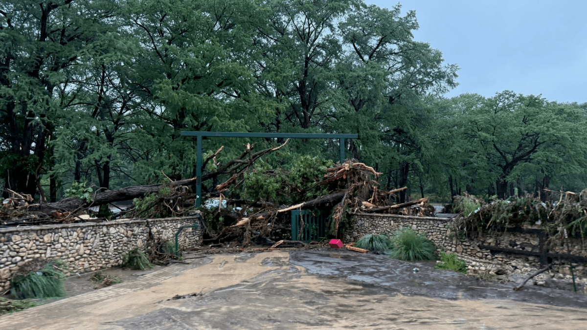 San Diegan boys rescued from Texas floods – NBC 7 San Diego