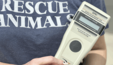 Fort Worth Launches First-Ever 'Chip Spot' To Reunite People With Lost Pets » Dallas Innovates