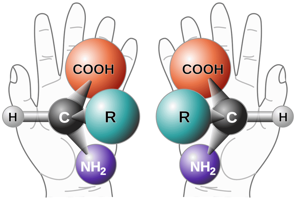 Image showing mirrored versions of an (unspecified) amino acid molecule