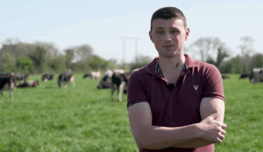 Entering dairy farming through leasing – Conor Wynne’s story
