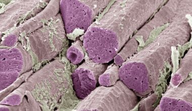 Ozempic Alternative Ditches The Needle And One Major Side Effect : ScienceAlert