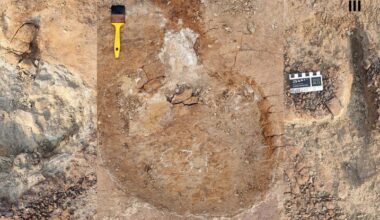 Stunning Dinosaur Tracks Appear to Show Something Never Seen Before : ScienceAlert