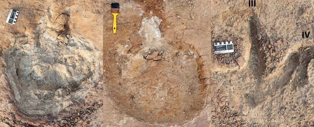 Stunning Dinosaur Tracks Appear to Show Something Never Seen Before : ScienceAlert