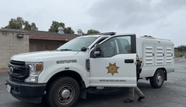 Animal Service vehicle with "investigations" on the side