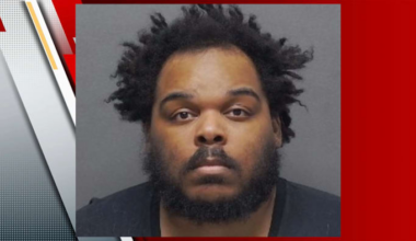 Man charged with animal cruelty after 5 dogs rescued from property, BCSO says