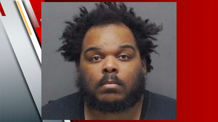 Man charged with animal cruelty after 5 dogs rescued from property, BCSO says