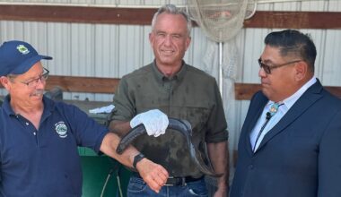 RFK Jr. Lets Parasitic Sea Vampire Bite His Arm to Show Off ‘Hickeys’