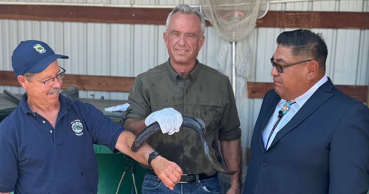 RFK Jr. Lets Parasitic Sea Vampire Bite His Arm to Show Off ‘Hickeys’